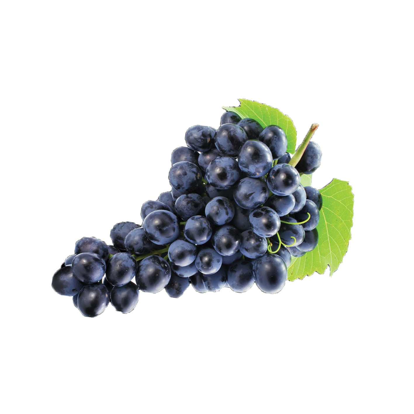 Խաղող սև բարձր կարգ կգ