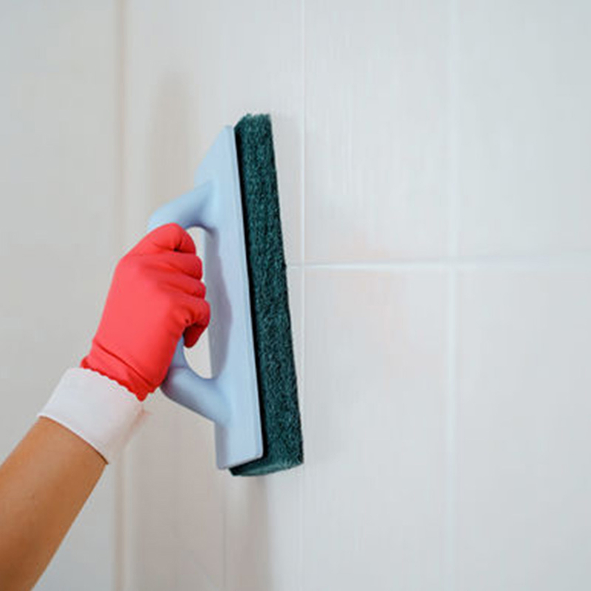 Բռնիչ սպունգ սկրաբի 120542 PadBoy