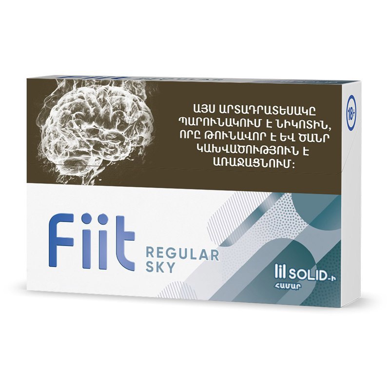 Heated tobacco sticks Fiit Regular Sky

