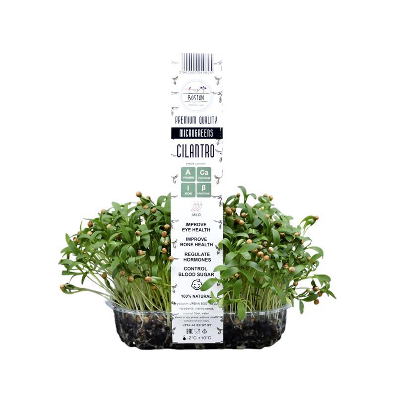 Միկրոկանաչի «Բոստան» համեմ (հայկական)